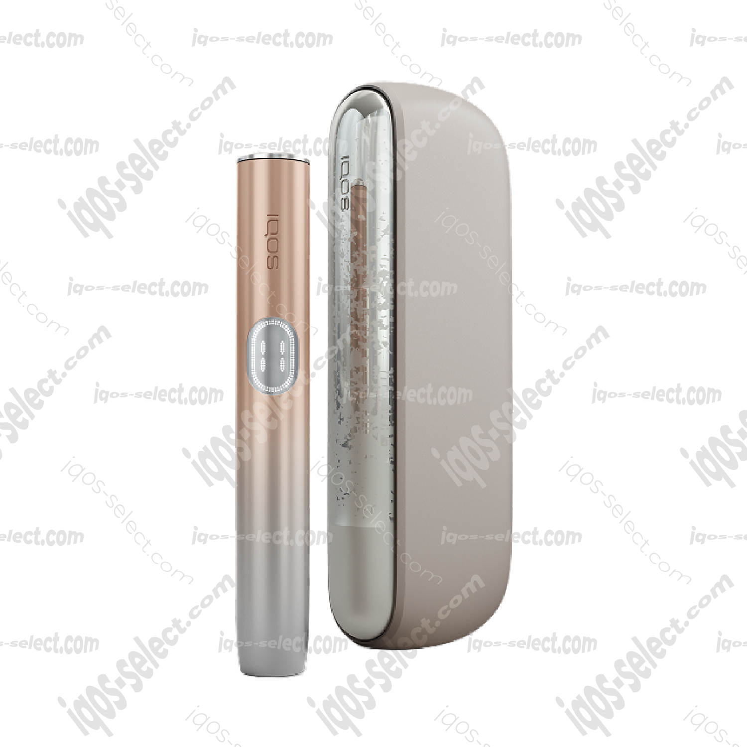 ILUMA i 海豚金(限定色)