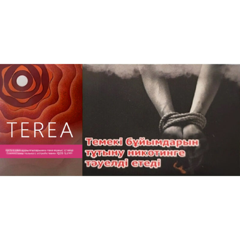 TEREA哈薩克版 太陽珍珠