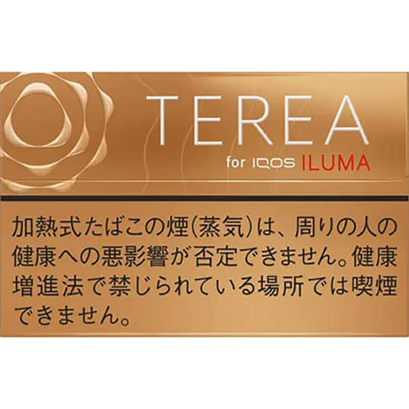 TEREA日本版 雪松原味WARM REGULAR
