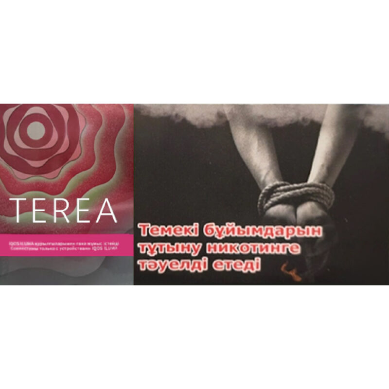TEREA哈薩克版 草莓珍珠