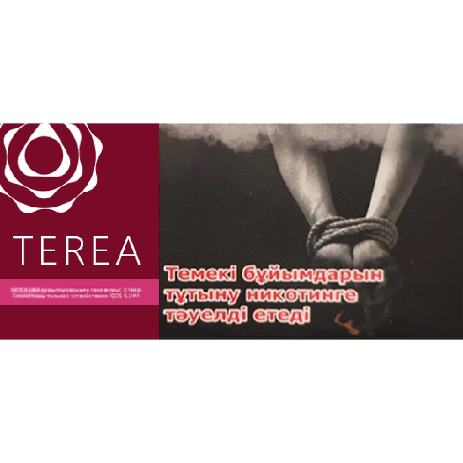 TEREA哈薩克版 紅寶石濃原