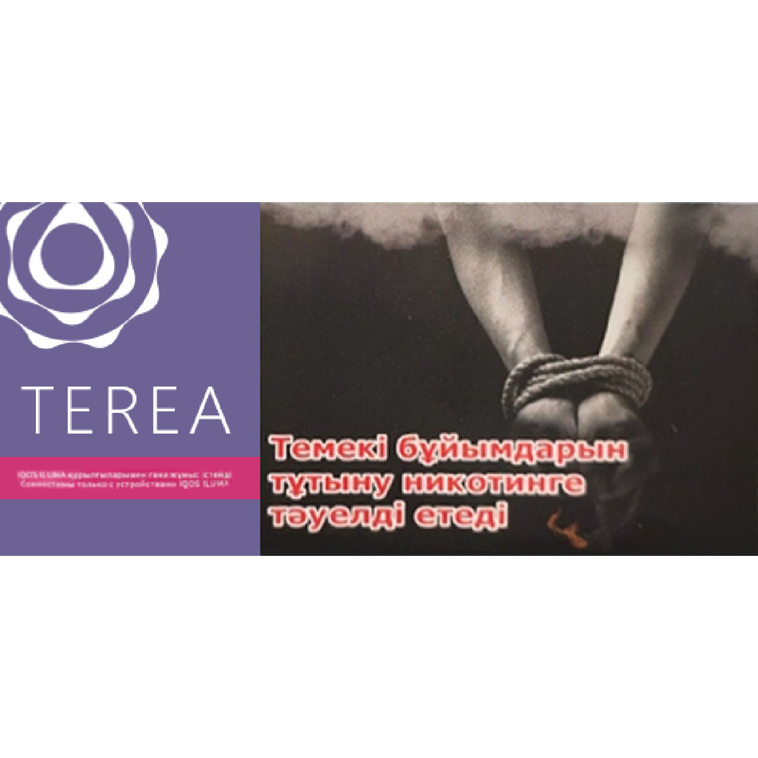 TEREA哈薩克版 葡萄藍莓