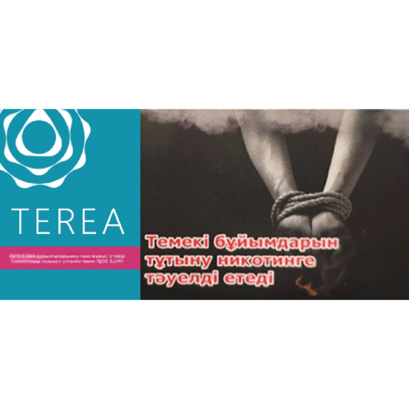 TEREA哈薩克版 薄荷