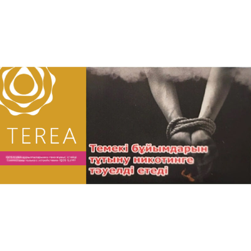 TEREA哈薩克版 黃原味